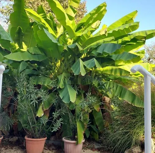 Szilvia Lejlighedshotel